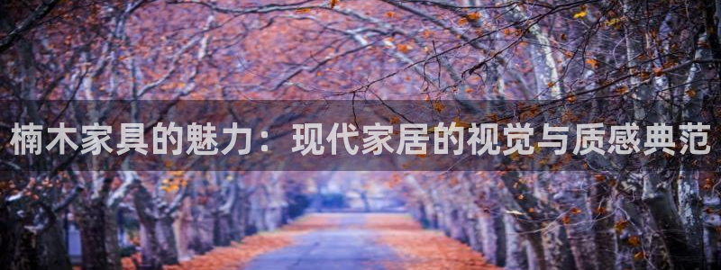 龙八国际网站手机版