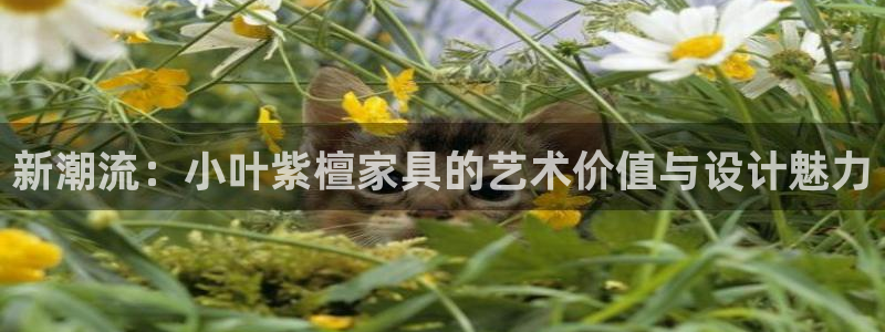 手机版龙八国际官网