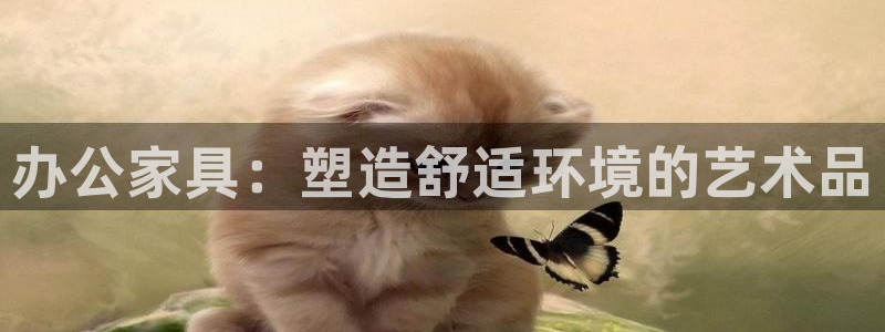 龙八国际网易云音乐