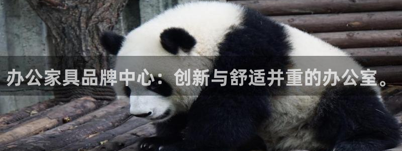 龙八国际服官方