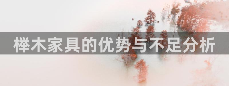 石家庄龙八国际老板是谁