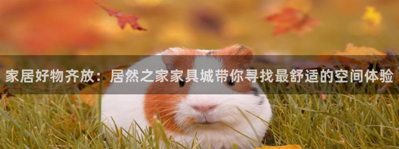 龙八国际手机版下载安装app