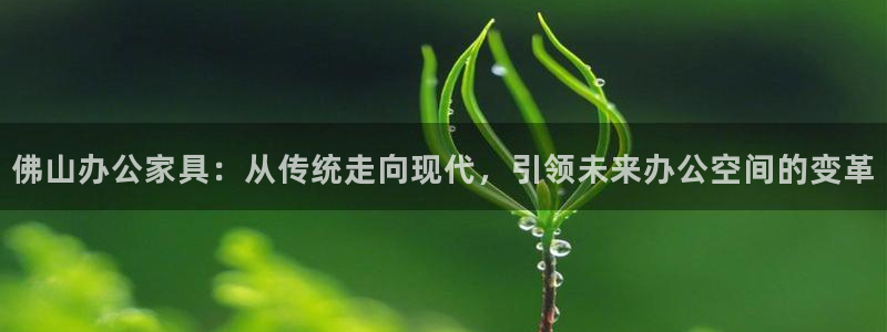 龙八国际国际娱乐官网