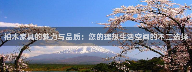 龙八国际正规吗