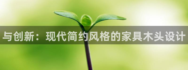 龙八国际APP官方版