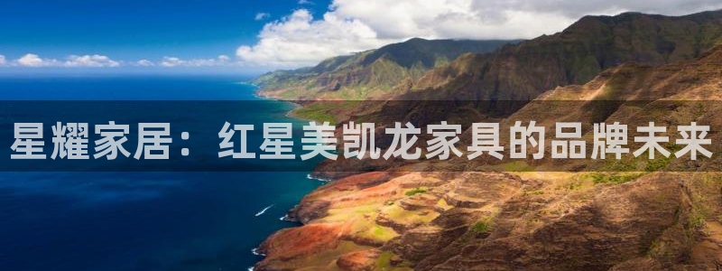 龙八国际这个平台在哪里：星耀家居：红星美凯龙家具的品牌未来