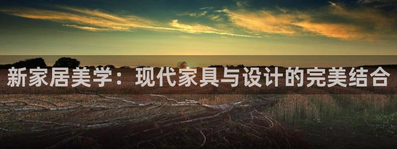 龙八国际头号玩家是谁啊